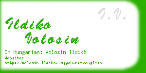 ildiko volosin business card